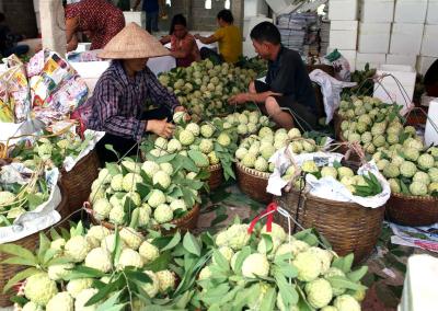 Thương hiệu thực phẩm Việt vẫn mờ nhạt trên thế giới ảnh 1