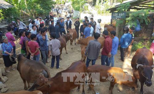 Đặc sắc chợ phiên Pắc Miều ảnh 4