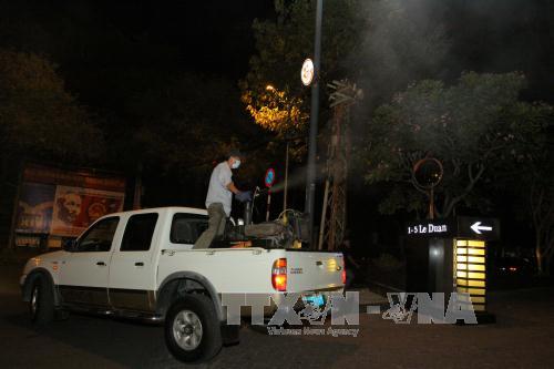 TP Hồ Chí Minh điều tra khu vực có người nhiễm Zika ảnh 1