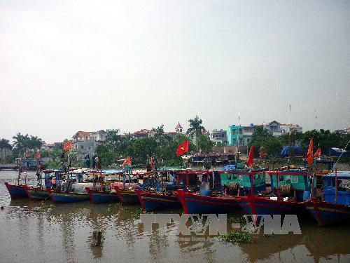 Tàu thuyền neo đậu tại một cảng cá trên địa bàn tỉnh Thái Bình. Ảnh: Thu Hoài/TTXVN