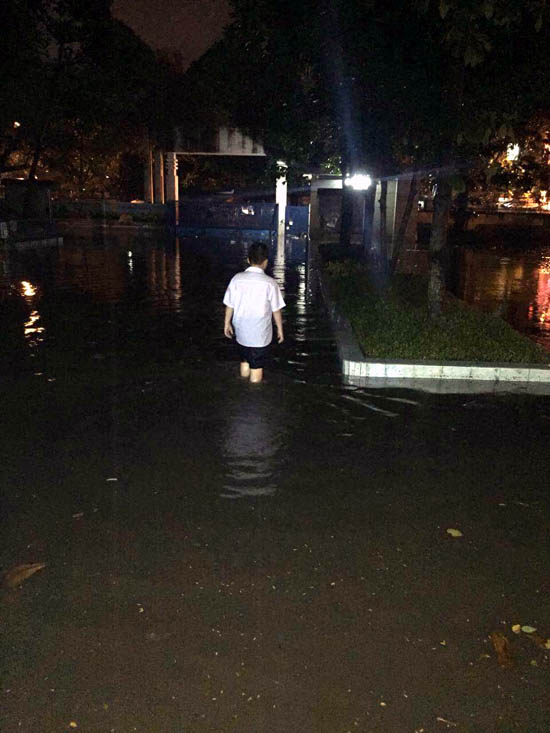 TP Hồ Chí Minh lại ngập nặng do triều cường và mưa lớn ảnh 17