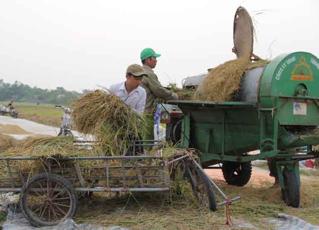 Người dân ven biển Đông Bắc Bộ hối hả chống bão số 7 ảnh 2