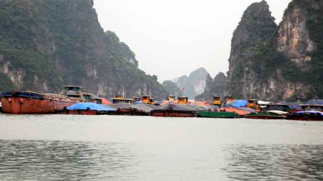 Người dân ven biển Đông Bắc Bộ hối hả chống bão số 7 ảnh 6