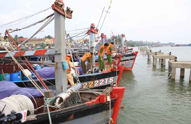Người dân ven biển Đông Bắc Bộ hối hả chống bão số 7 ảnh 7