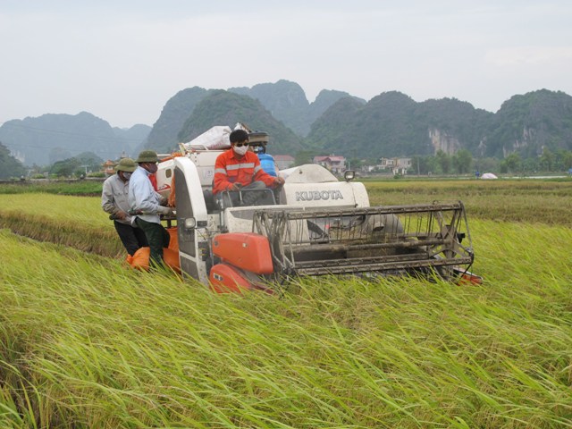 Người dân ven biển Đông Bắc Bộ hối hả chống bão số 7 ảnh 4