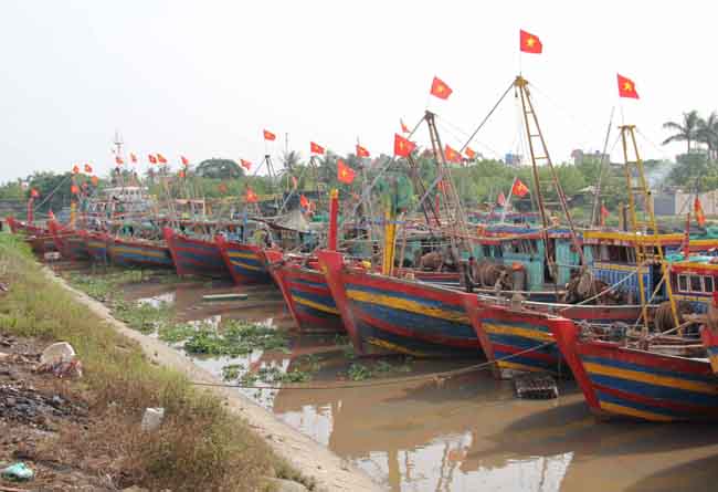 Người dân ven biển Đông Bắc Bộ hối hả chống bão số 7 ảnh 8
