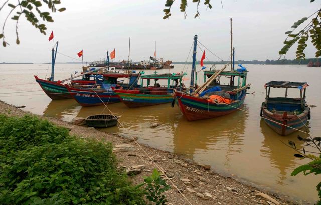 Người dân ven biển Đông Bắc Bộ hối hả chống bão số 7 ảnh 9