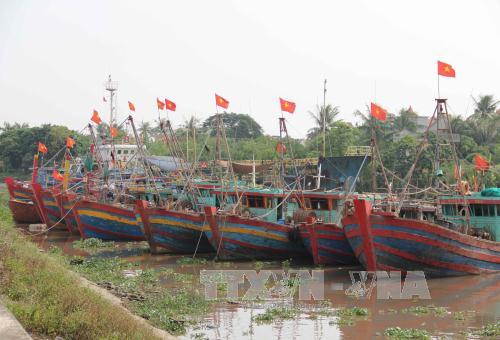 Thái Bình di dân vào trong đê chính, đến nơi trú bão an toàn ảnh 1