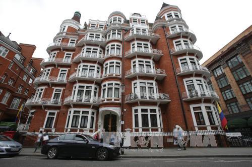 Đã rõ vì sao Ecuador cô lập nhà sáng lập Wikileaks? ảnh 1