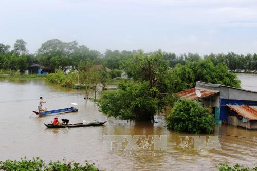 Tây Ninh phòng chống thiên tai do ảnh hưởng của áp thấp nhiệt đới ảnh 1