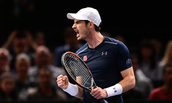 Andy Murray lên ngôi số 1 thế giới ảnh 1