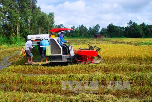 Cà Mau dồn sức xây dựng nông thôn mới ảnh 1