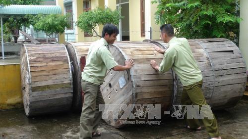 88.000 vụ hàng giả, hàng nhái bị phát hiện ảnh 1