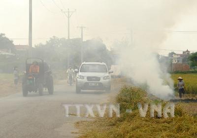 Đốt rơm rạ tạo nên lớp khói, bụi mù mịt, gây hại cho sức khỏe và nguy hiểm cho người đi đường. Ảnh: Doãn Tấn/TTXVN