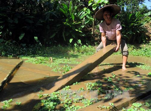 Chuyện ở rể của người Thái ở Lai Châu ảnh 1