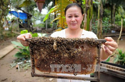 Những lý do khiến bạn "khó cưỡng" Cù lao Thới Sơn ảnh 4
