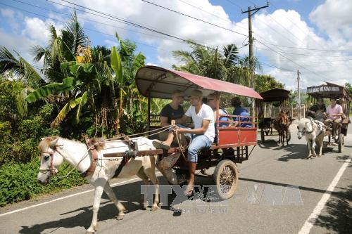 Những lý do khiến bạn "khó cưỡng" Cù lao Thới Sơn ảnh 7