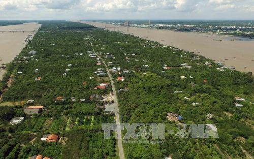 Những lý do khiến bạn "khó cưỡng" Cù lao Thới Sơn ảnh 9