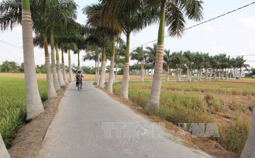 Long An đầu tư 2.300 tỷ đồng xây dựng nông thôn mới ảnh 1