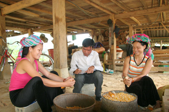 Cần giám sát đào tạo lao động nông thôn ảnh 1