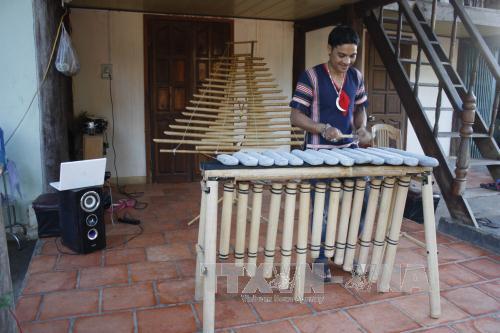 Say mê bảo tồn các nhạc cụ truyền thống ở Tây Nguyên ảnh 1