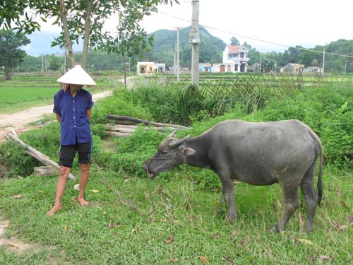 Giảm nghèo bền vững vùng dân tộc thiểu số ảnh 2