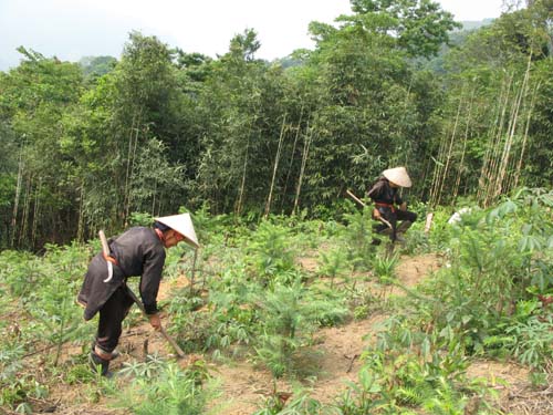Giảm nghèo bền vững vùng dân tộc thiểu số ảnh 7
