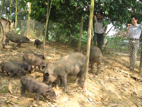 Giảm nghèo bền vững vùng dân tộc thiểu số ảnh 8