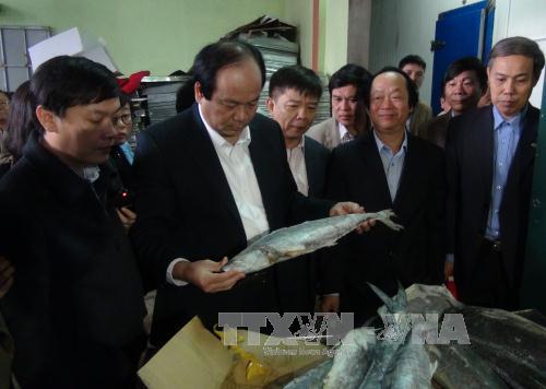 Tổ công tác của Thủ tướng Chính phủ làm việc tại Quảng Bình ảnh 1