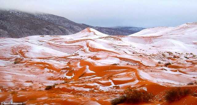 Ngắm tuyết rơi trên sa mạc Sahara đẹp “mê li” ảnh 1