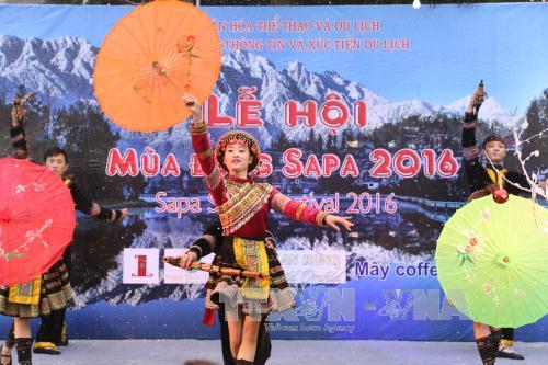 Khai mạc Lễ hội mùa đông Sa Pa năm 2016 ảnh 1