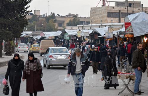 Dự báo năm 2017: Cơ hội cho hòa bình tại Syria ảnh 1