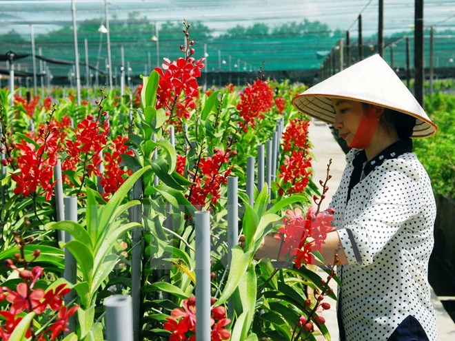 Quần chúng cảm tình đảng chưa tương xứng với số nông dân 