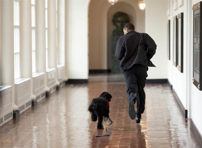 Những khoảnh khắc ấn tượng trong 2 nhiệm kỳ của Tổng thống Obama ảnh 3