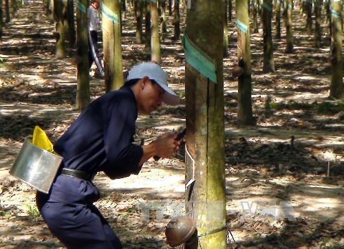 VRG kiến nghị gia hạn cổ phần hóa Công ty mẹ - Tập đoàn ảnh 1