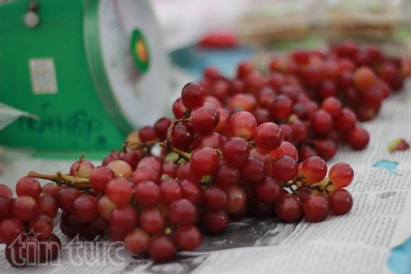 Đặc sản vùng miền đón Tết hút khách ảnh 8