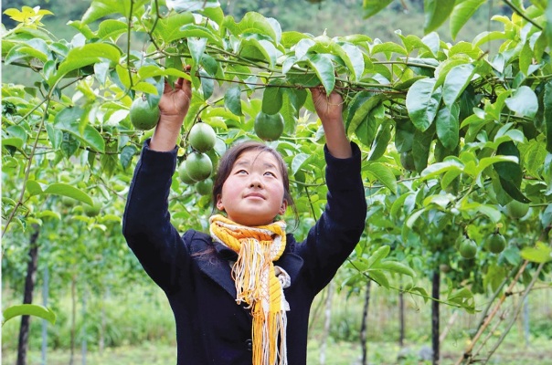 Đổi thay ở cổng trời Mường Lống ảnh 2