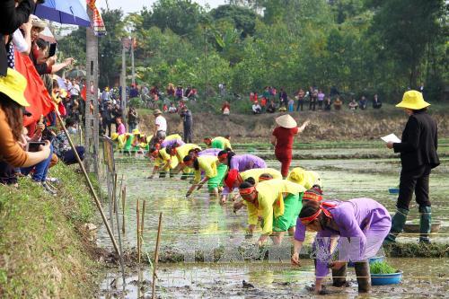 Mùng 4 Tết, miền Bắc mưa nhiều nơi