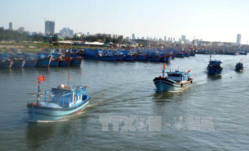 Ngư dân tấp nập vươn khơi ngày đầu năm mới ảnh 2
