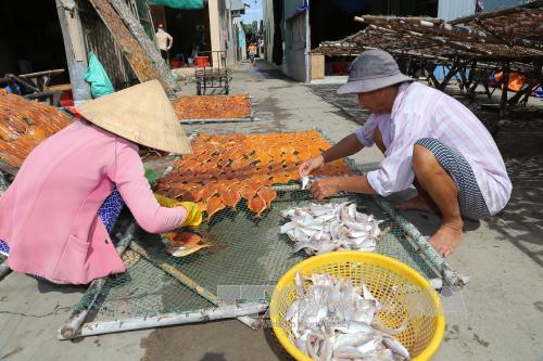 Người dân phơi cá nguyên liệu ở thị trấn Vàm Láng. Ảnh: Nam Thái/TTXVN