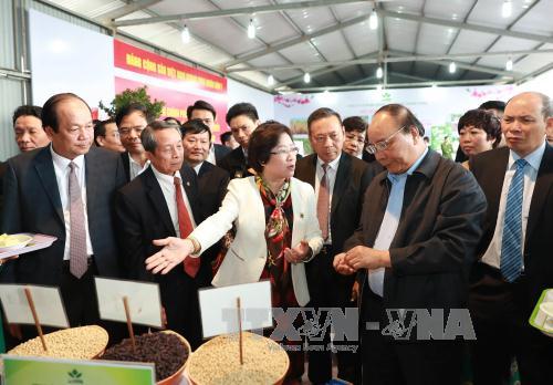 Thủ tướng Nguyễn Xuân Phúc đến thăm Công ty Cổ phần đầu tư và Phát triển nông nghiệp công nghệ cao tỉnh Hà Nam. Ảnh:Thống Nhất/TTXVN