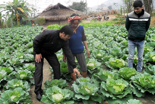 ­Đưa trí thức trẻ về vùng khó Tây Bắc ảnh 1
