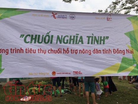  'Giải cứu' chuối cho bà con nông dân ảnh 1