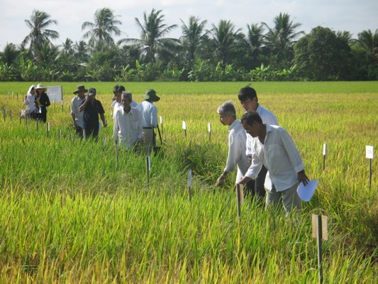 Đồng bằng sông Cửu Long phòng chống hạn, mặn ảnh 2