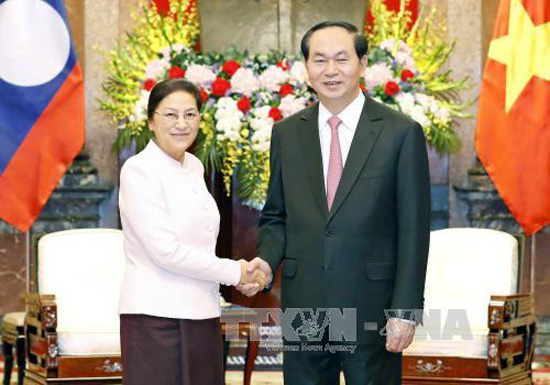  Đôn đốc triển khai hiệu quả các thỏa thuận Việt - Lào ảnh 1