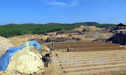Khai thác đất sét tràn lan, chính quyền bó tay ảnh 1