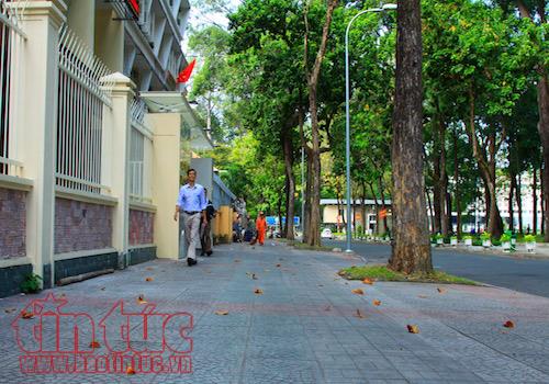 Sải bước trên những vỉa hè đẹp nhất Sài Gòn ảnh 2