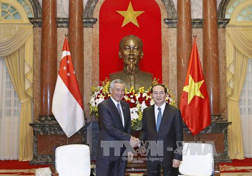 Chủ tịch nước Trần Đại Quang tiếp Thủ tướng Singapore Lý Hiển Long ảnh 1