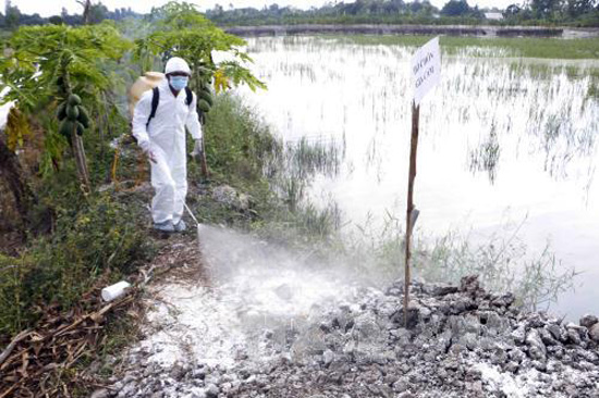 Khó khăn trong kiểm soát dịch cúm gia cầm ảnh 1