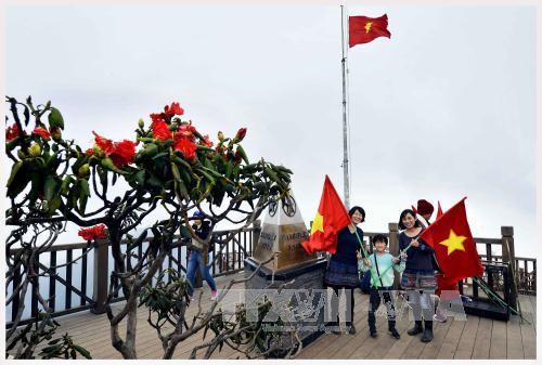 Rực rỡ 'Lễ hội hoa đỗ quyên' trên đỉnh Fansipan ảnh 1
